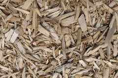biomass boilers Tivoli